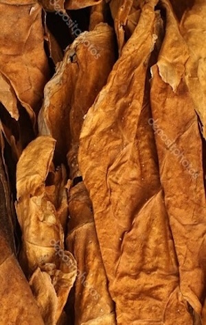 Statistiche sui miei tabacchi